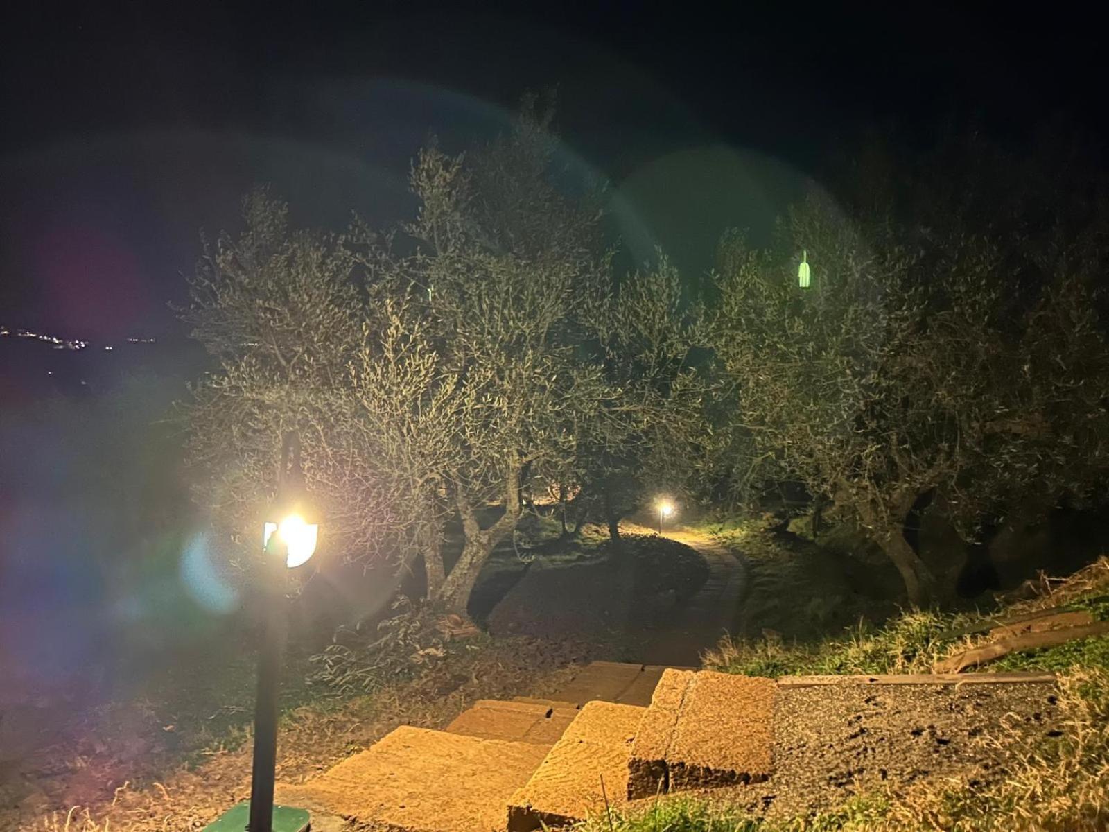 Casale Meraviglioso Val D'Orcia Con Piscina 拉迪科法尼 外观 照片